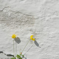 DSC_0085.jpg